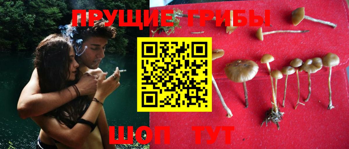 Гусь-Хрустальный  Псилоцибиновые грибы Psilocybine cubensis  Вход с VPN 